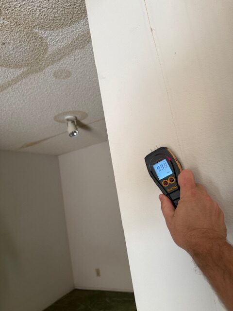 living room mr adjacent to dining room (2)