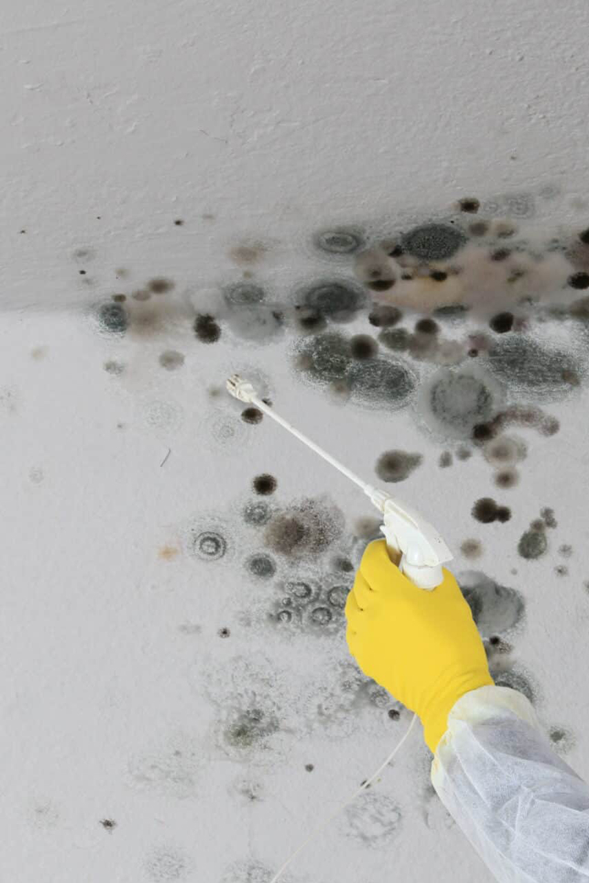 vertical mold